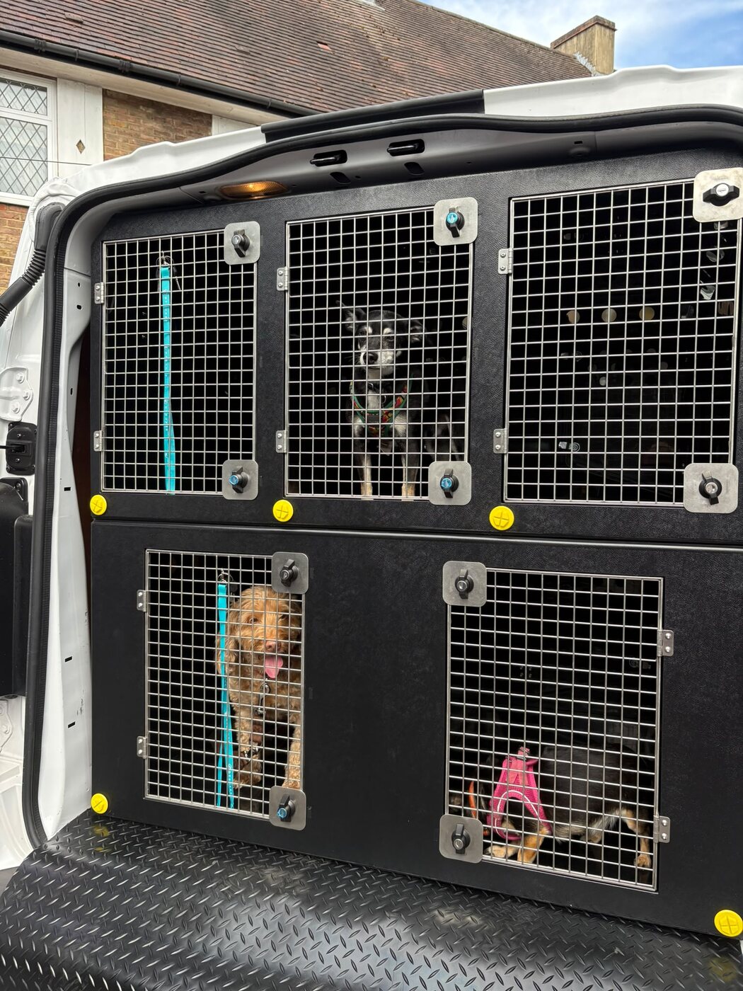 Dogs travelling in individually separated DT Boxes compartments in the Running Paws vehicle